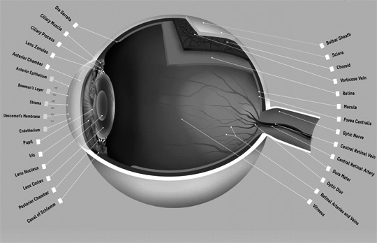 Eye Poster